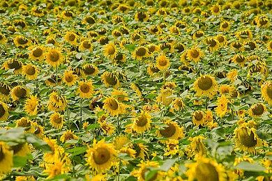 厂商解释《捉鬼敢死队》为何删除多人模式：代码丢了